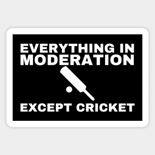 Everything In Moderation Except Cricket Magnet